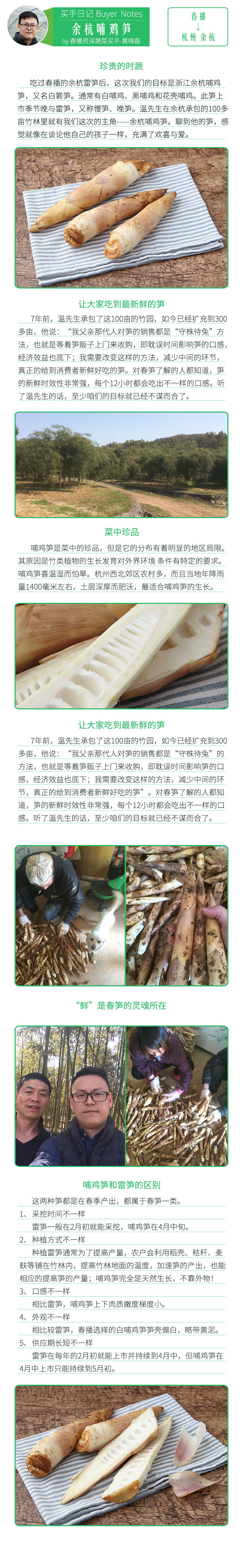 哺鸡笋450-550g 我的优点 笋衣会是浅浅的黄色,黄色的竹笋代表没有